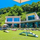 플레이독애견풀빌라