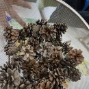 용오름농촌체험휴양마을 이미지