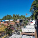 씨유제주동부휴게소점 | [서귀포] 제주3대김밥 맛집 '물영아리오름휴게소', #해장라면 #품절주의_유부김밥 #내돈내산 #또갈집