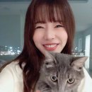 써니 이미지