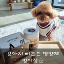 강아지관절영양제 기호성좋은 멍이장군으로 관리해줘요