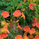 프롬디(FROM:D) 이미지