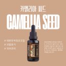 씨드(SEED) 헤어 | 도테라 카멜리아 씨드 - 효과 효능 사용기 &amp; 대한민국 최초의 원물오일