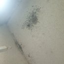 클린케이 이미지