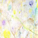 나비,날아오르다 이미지