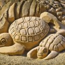 거북농장 이미지