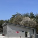강원도 강릉 캠핑장 / 하슬라 캠핑장 / 오토캠핑장/ 내 돈 내산