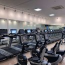 브라운 휘트니스 이미지