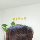 남종진다모의원 이미지