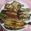 쫑아네 이미지