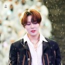 플레로마 이미지