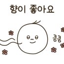 성산크리닝 이미지