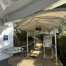 벚꽃길주유소 | 재방문 2일차 / 호텔콜렉티브 조식 / 나키진성터 벚꽃 / 코우리쉬림프 / 코우리오션타워 / 오리엔탈 호텔