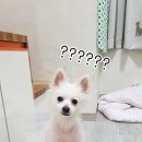 옷.집