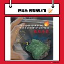 맛쟁이 이미지