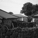 삼달1리 이미지