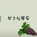 고백수학전문학원 이미지