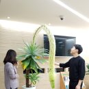 영주2동 주민센터 이미지