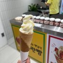 내돈내산 ㅣ 대구 반월당 동성로 신상 크레페 계란빵 카이막아이스크림 ‘몽실’ 솔직후기