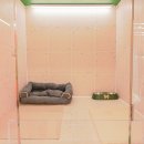 강아지 호텔 이미지