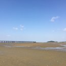 함평종합관광안내소 이미지