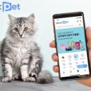 도그 어바웃 이미지