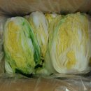 남쪽창고농수산물협동조합 이미지