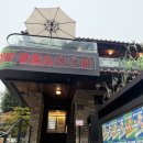 제스티 살룬(zesty saloon) | [음식점|서울|성수] 제스티살룬 성수 햄버거 맛집 솔직 후기