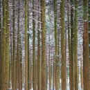 (제1044회)경주 어르신 종합 돌봄 센터 공연 이미지