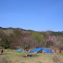 화정사 이미지