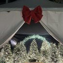 제이트리 | [Review] 피너츠X제이닷트리 크리스마스 팝업 후기