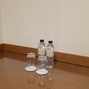 두바이호텔 | 에미레이트항공 두바이 레이오버 무료 호텔 연결 서비스 이용 후기