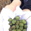 화광농장 이미지