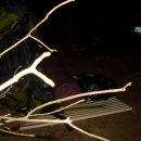 배티농장 이미지