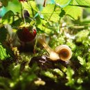 송사농장 이미지