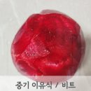 모도리베이비 이미지