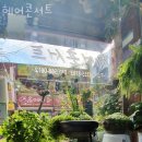 헤어콘서트미용실 이미지
