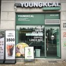 영칼로리 딜리버리 키친 | 청주 오송 샐러드 영칼로리포케 신상 맛집 점심 후기