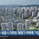 3월 3주 세종 아파트 집값 하락폭 가장 컸다 이미지