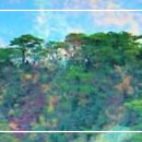 구름 위 수행 / 靑山 손병흥 이미지