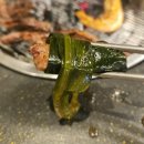 소통애창동