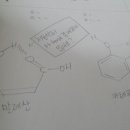 maleic acid, catechol 질문드려요 진규쌤 이미지