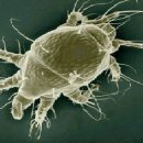 병세농장 이미지