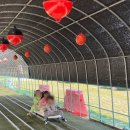 보성매점 이미지