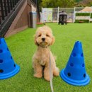 은정유치원 이미지