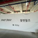 팔렛필즈(Palet Peelz)