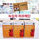 초코약국 이미지