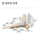 에스피티 이미지