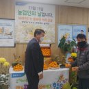 제주도청 이미지