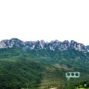 옛길 플라워 이미지